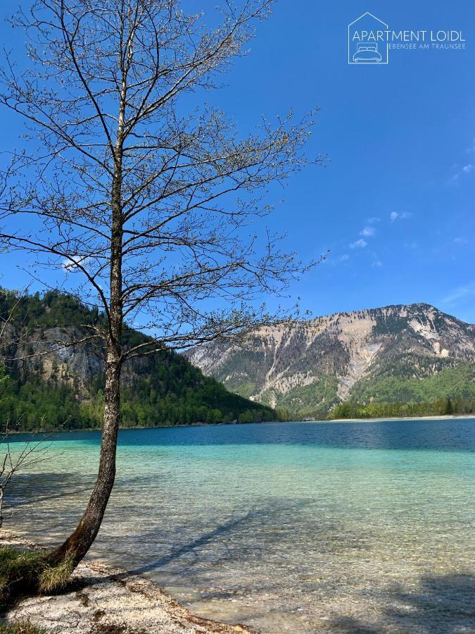 Apartment Loidl Ebensee Eksteriør bilde